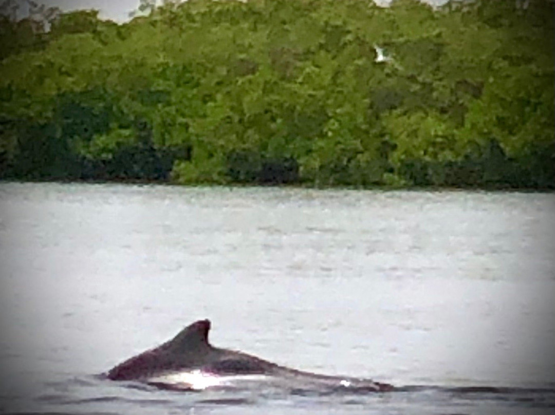 Le Kinkeliba lodge主图