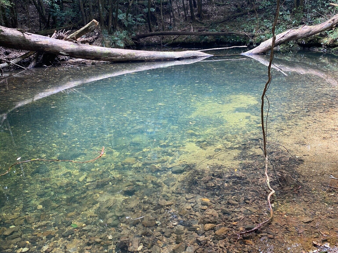 Bindarri National Park景点图片