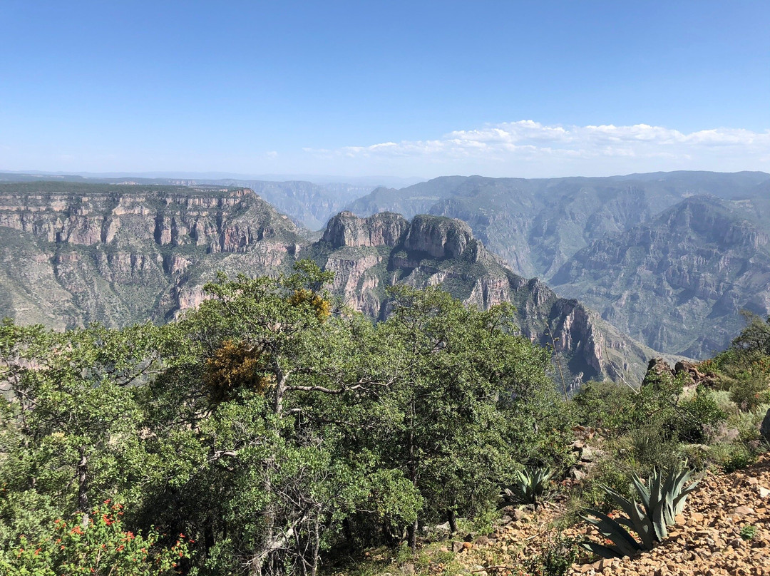 Mirador La Sinforosa-Guachochi必去景点