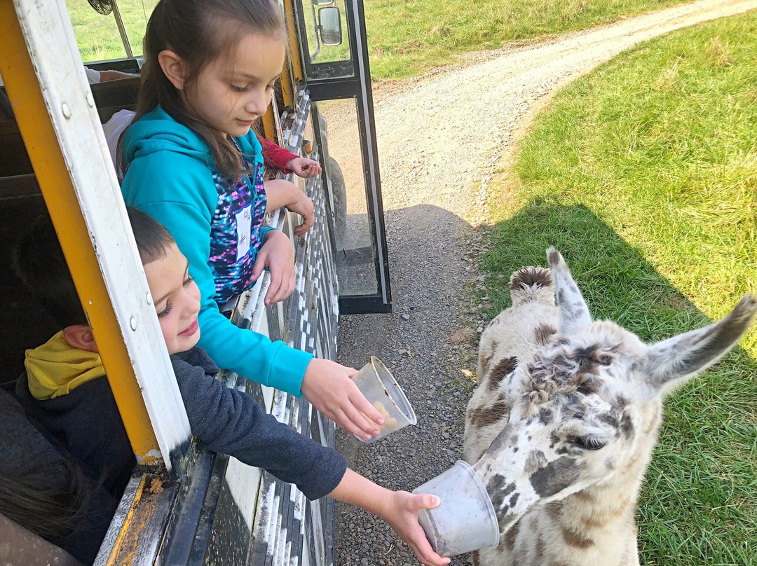 Fort Chiswell Animal Park-Max Meadows必去景点
