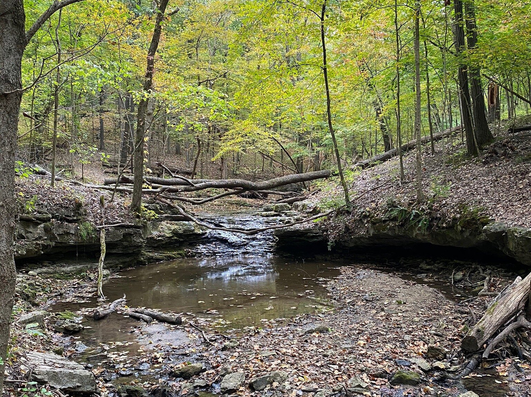 John M. Olin Nature Preserve-Godfrey必去景点