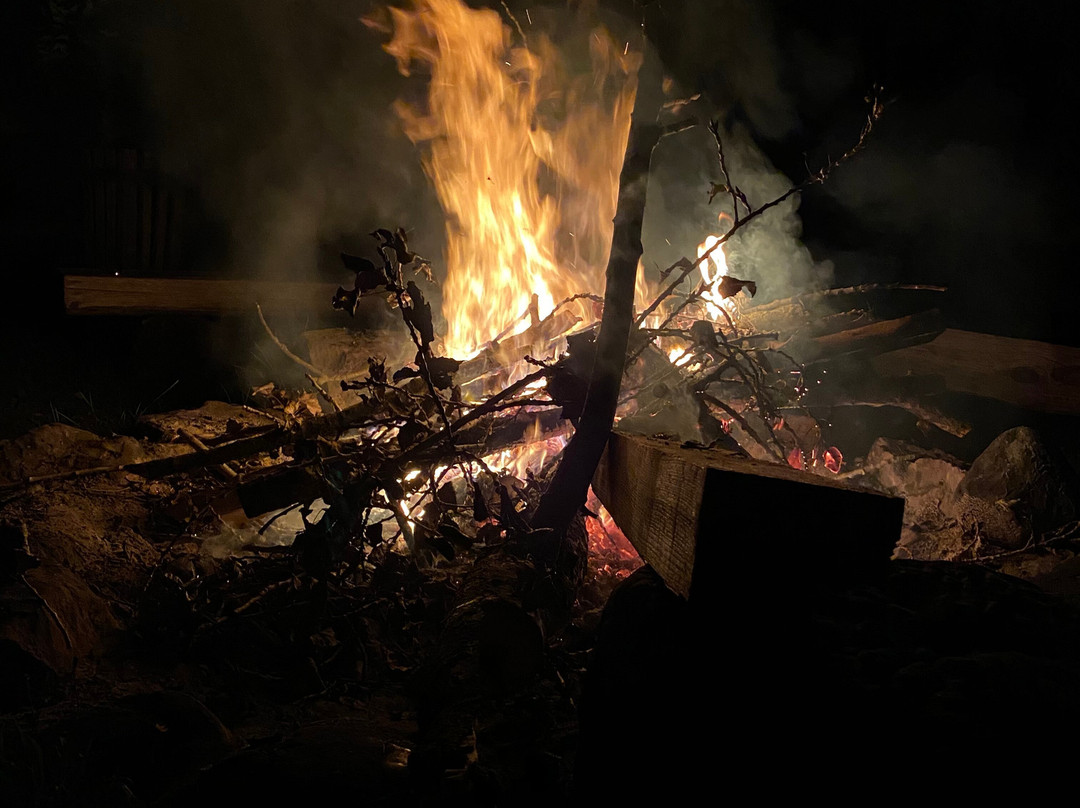 Star Line Farm主图