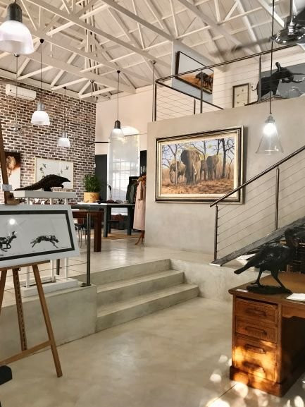 Warren Cary Wildlife Gallery-霍德斯普鲁特必去景点