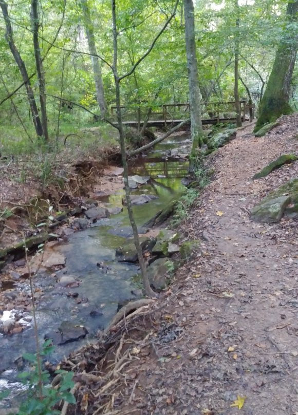 Big Trees Forest Preserve-桑迪斯普林斯必去景点