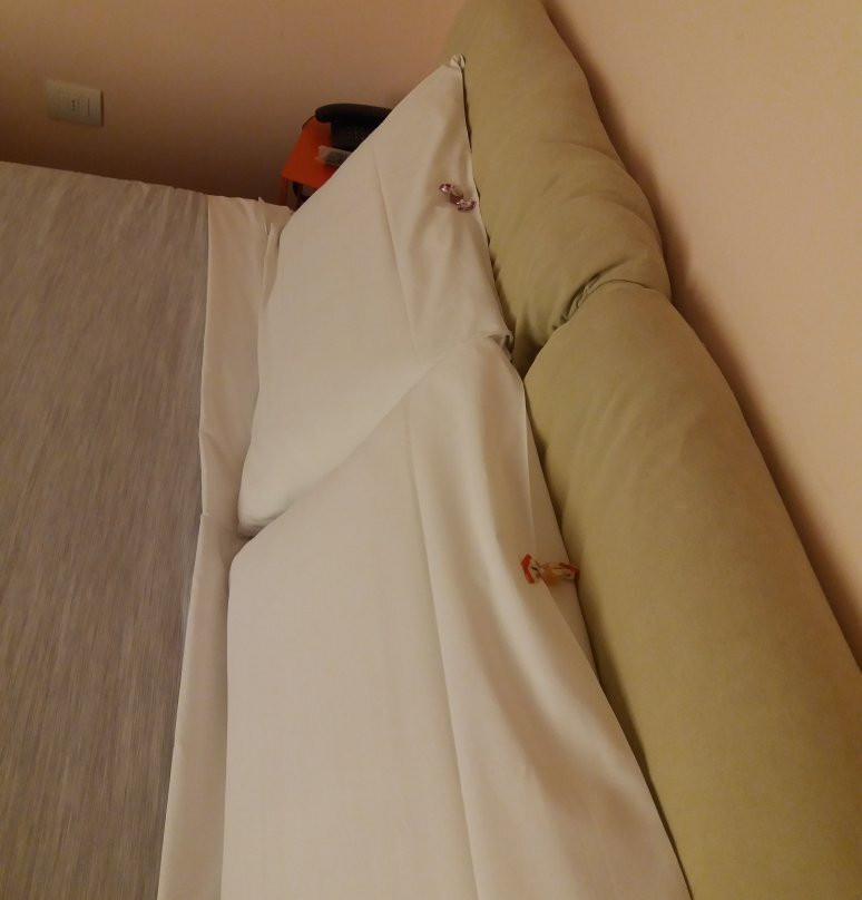 Hotel Forlanini52主图