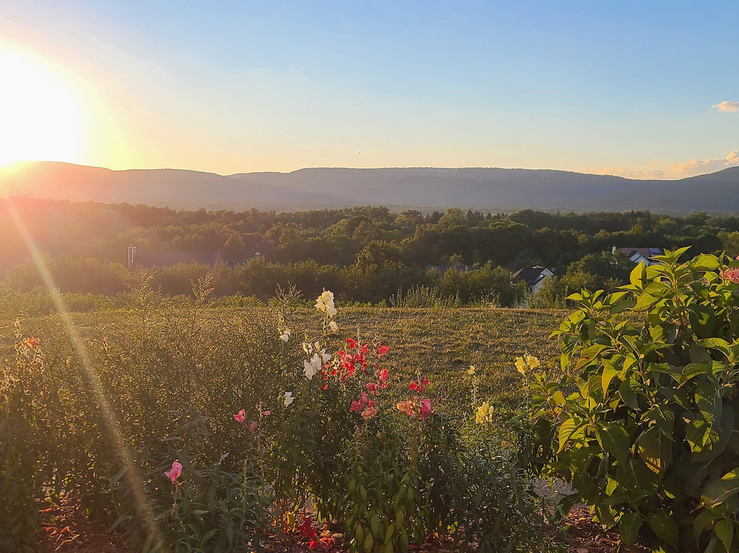 The Inn at Kettleboro主图