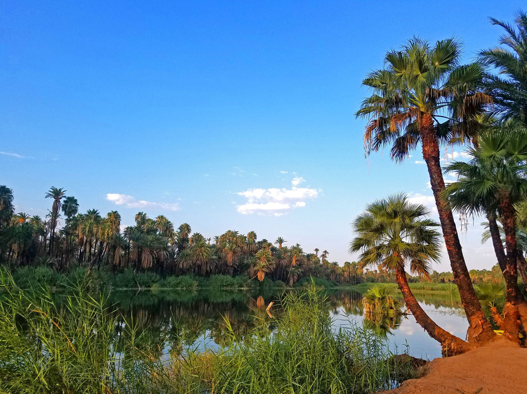 Ignacio Springs Bed & Breakfast主图