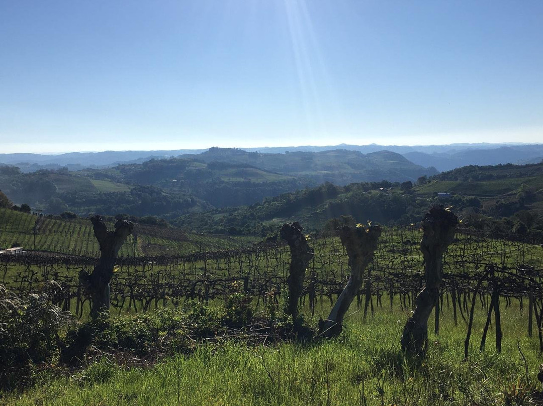 Vinhos Fae-Monte Belo do Sul必去景点