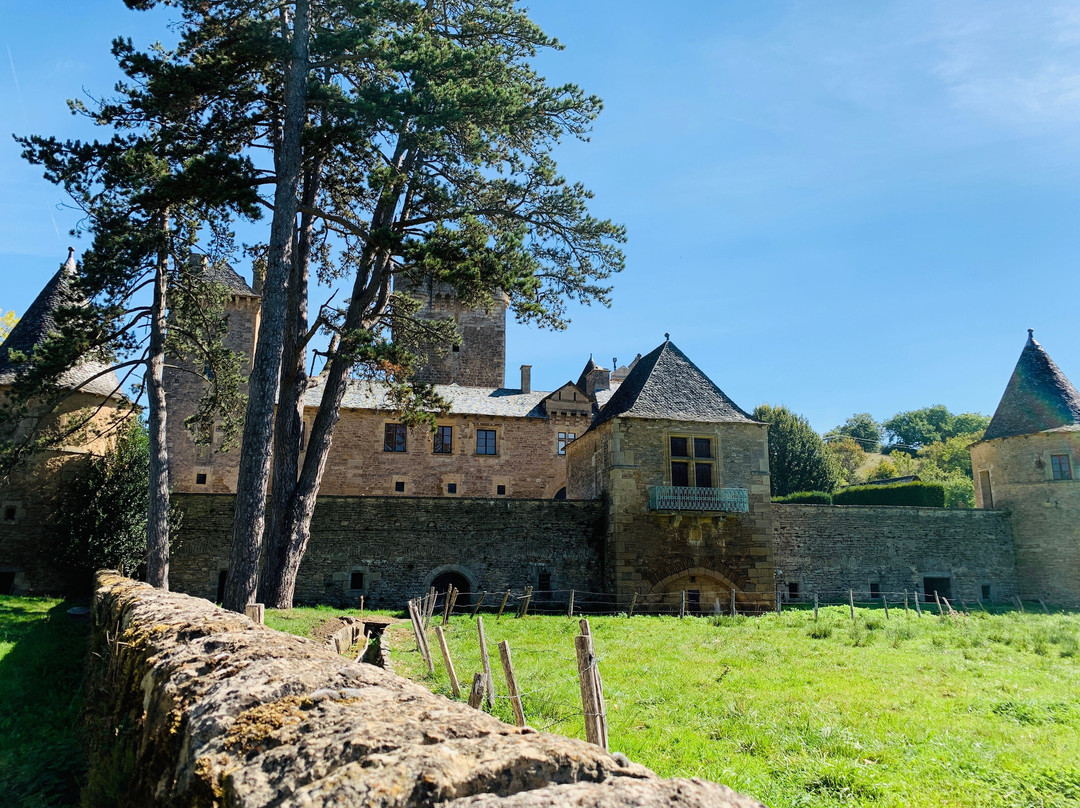 Château des Bourines-Bertholene必去景点