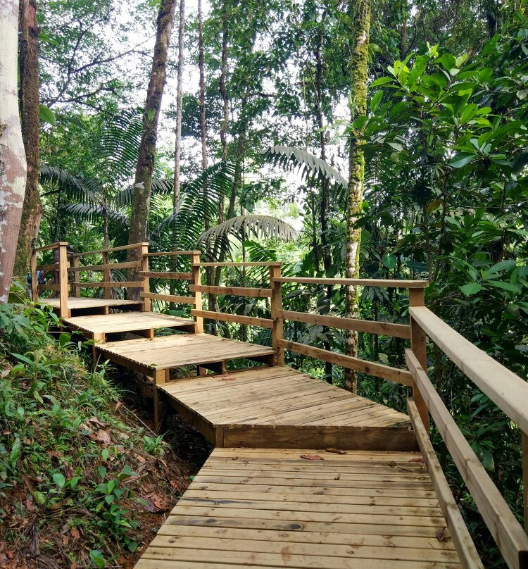 Tutunendo-Quibdo必去景点