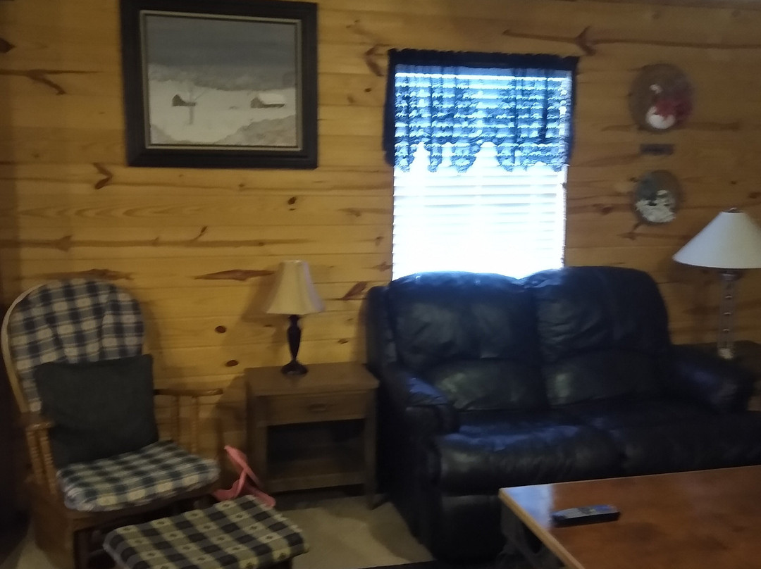 Knotty And Nice Cabins, Inc.主图