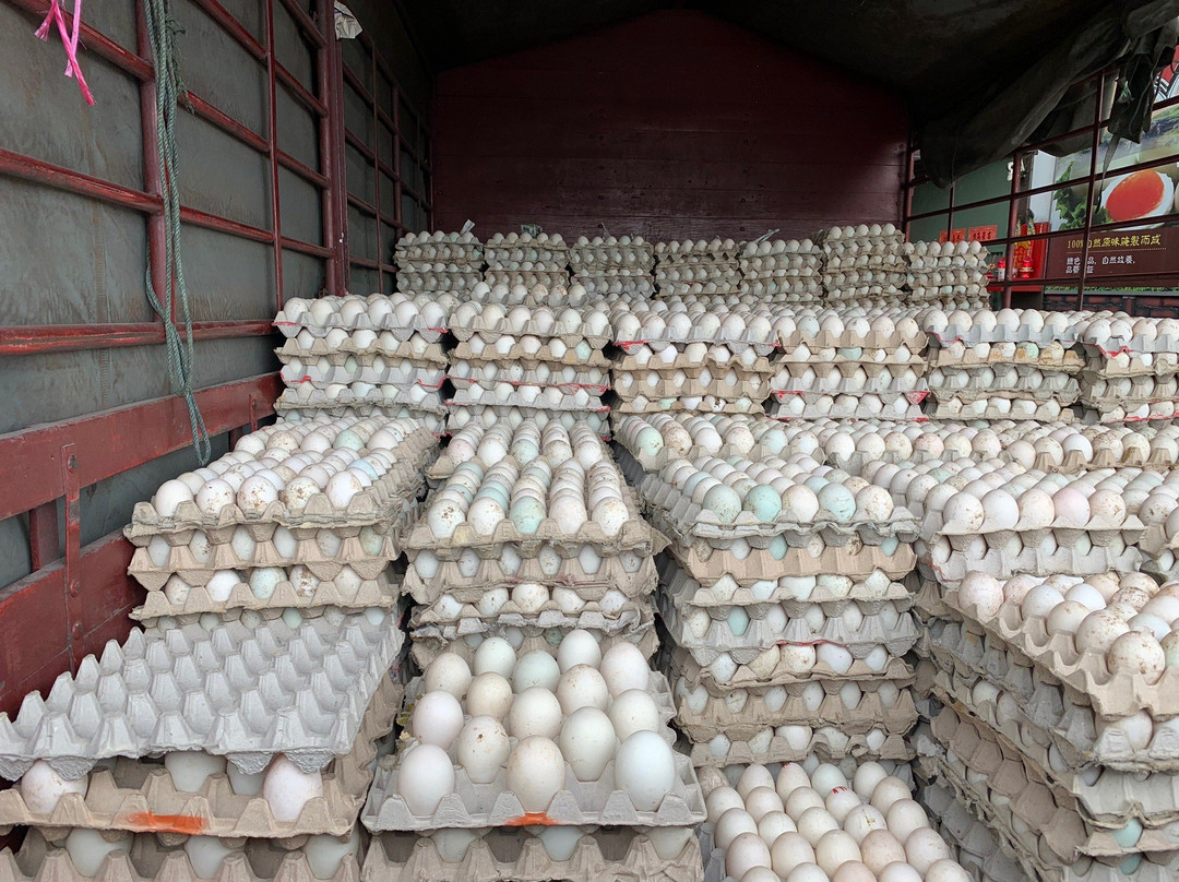 Joo Hong Chan Kuala Kurau Salted Duck Egg景点图片