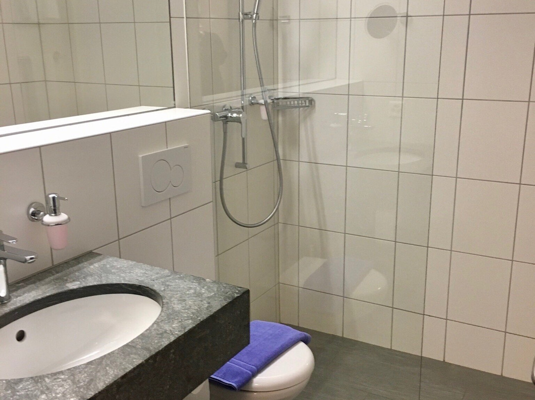 Alte Brauerei Hotel-Restaurant主图