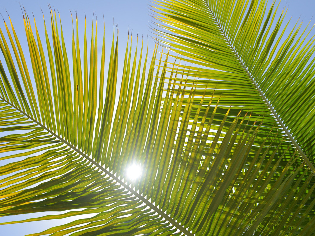 Scooter Évasion-Le Francois必去景点