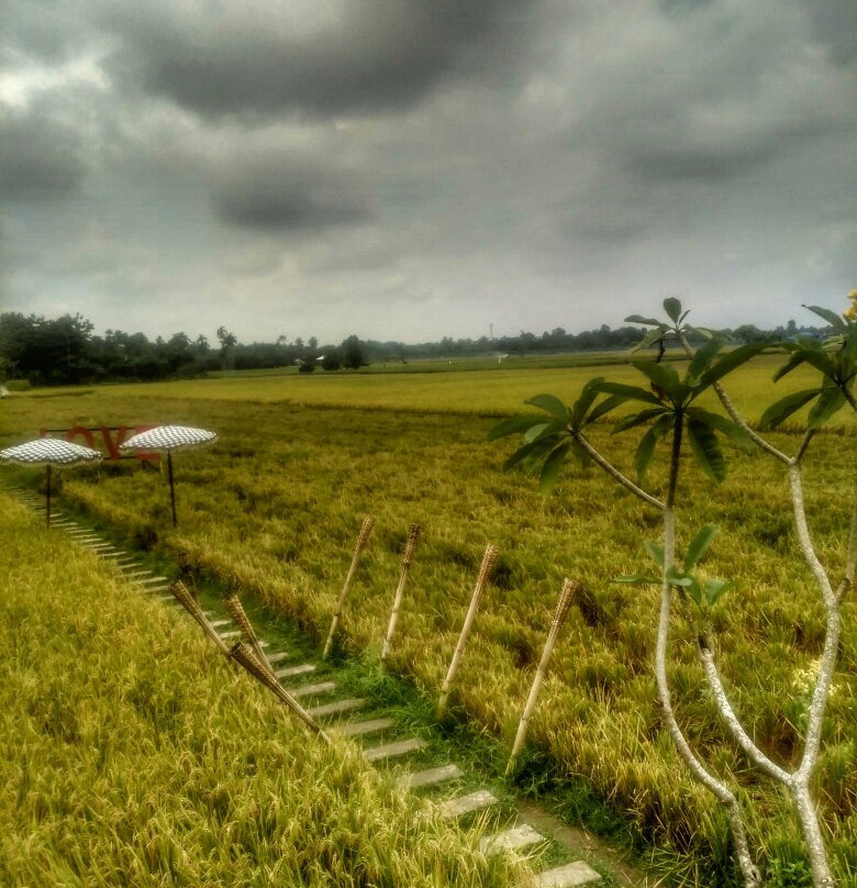 Sawah Lukis-Binjai必去景点