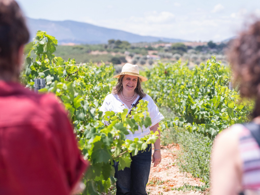 Margo wine routes-雅典必去景点