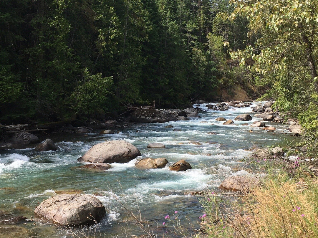 Kaslo River Trail景点图片