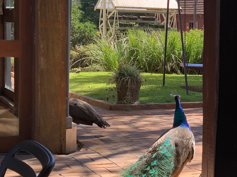 Pousada Don Giovanni主图