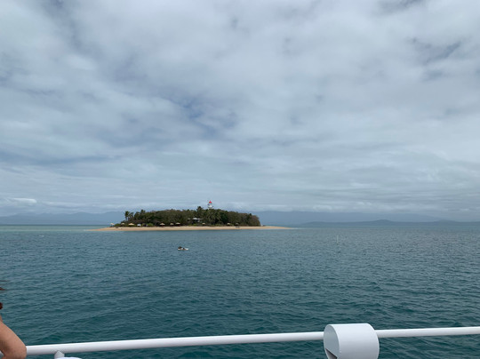 Wavedancer Low Isles Cruise-道格拉斯港必去景点