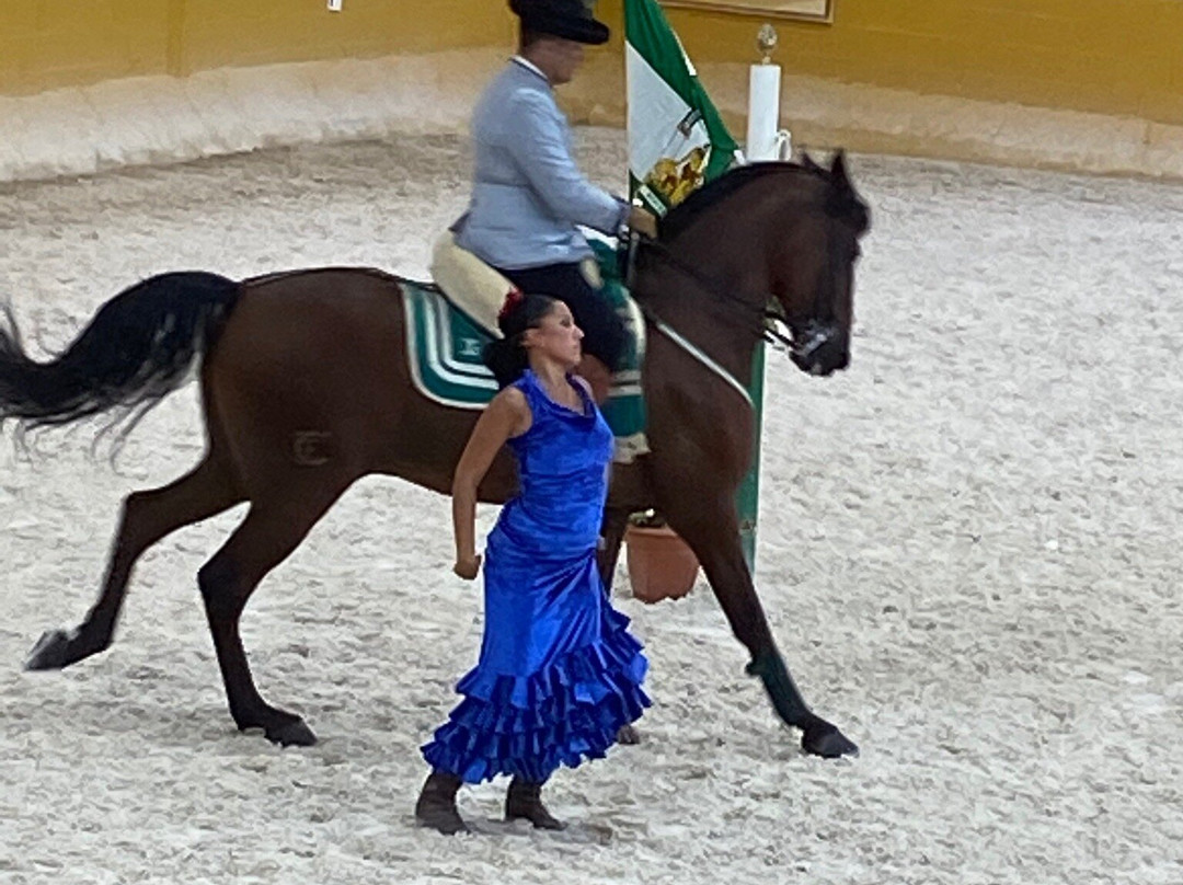 Ritmo a Caballo & Andalusian Night-托雷莫里诺斯必去景点