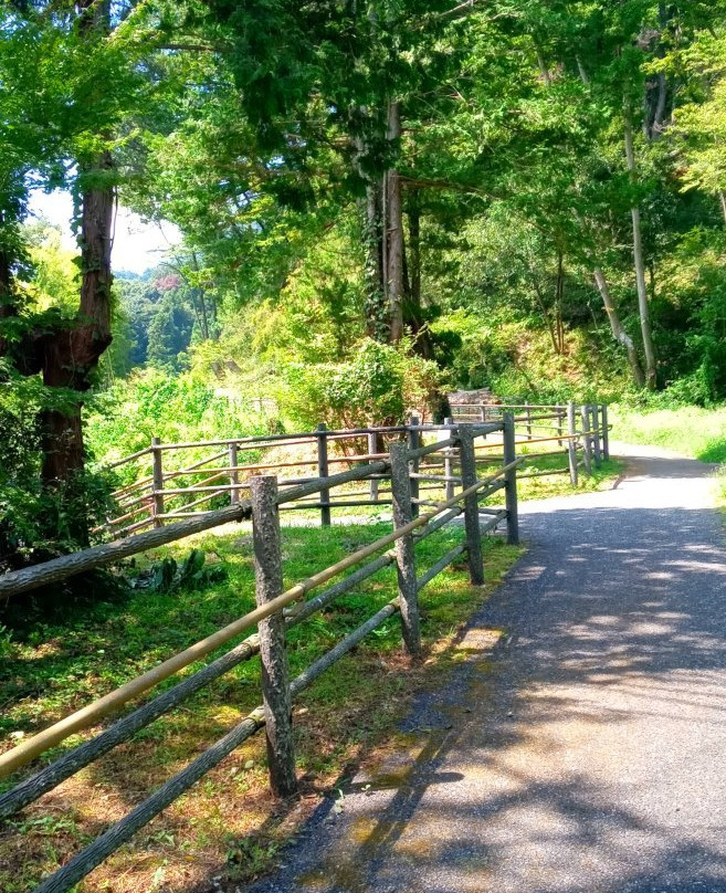 Hachioji Castle Remains-八王子市必去景点