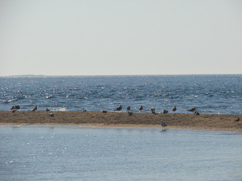 Kumburnu Beach-Ezine必去景点