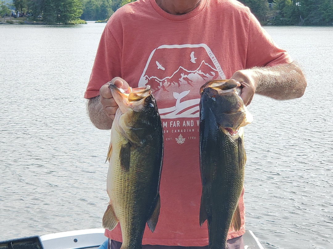 McArthurs Mills旅游攻略图片