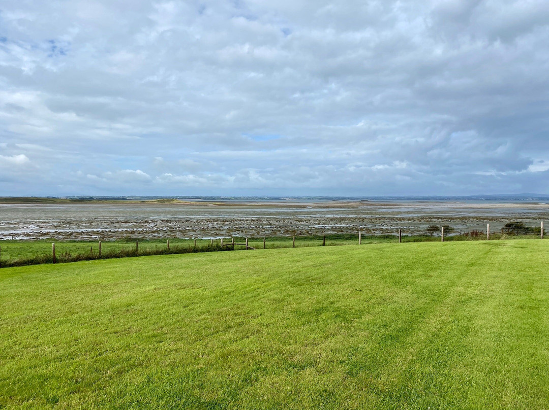 Shoreline at Mount Stewart