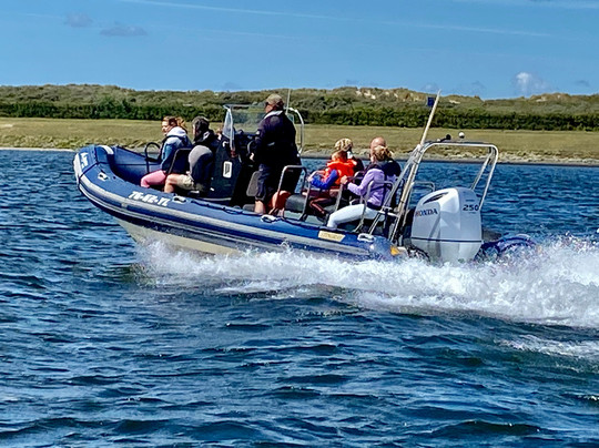 Dolphin Events-鹿特丹必去景点