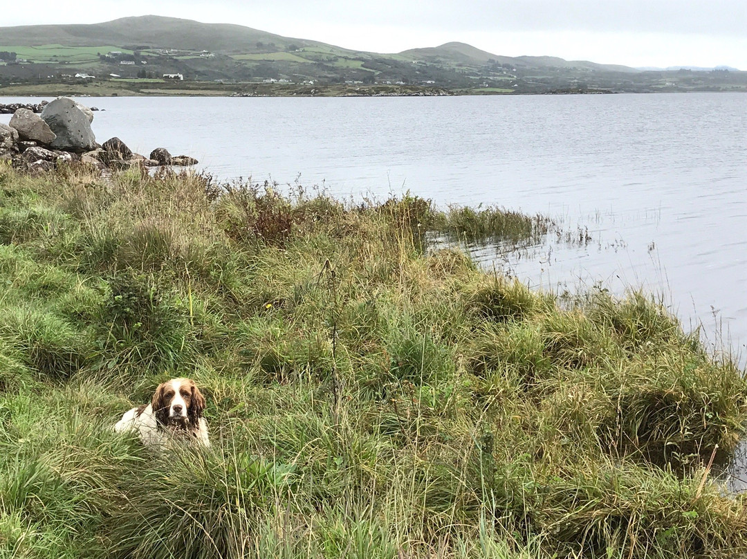 Lough Currane