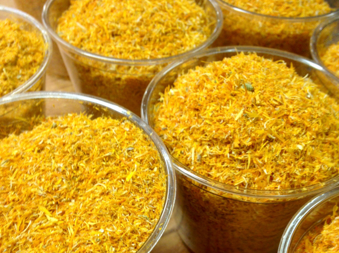 Sammysoap-Kirkwood必去景点