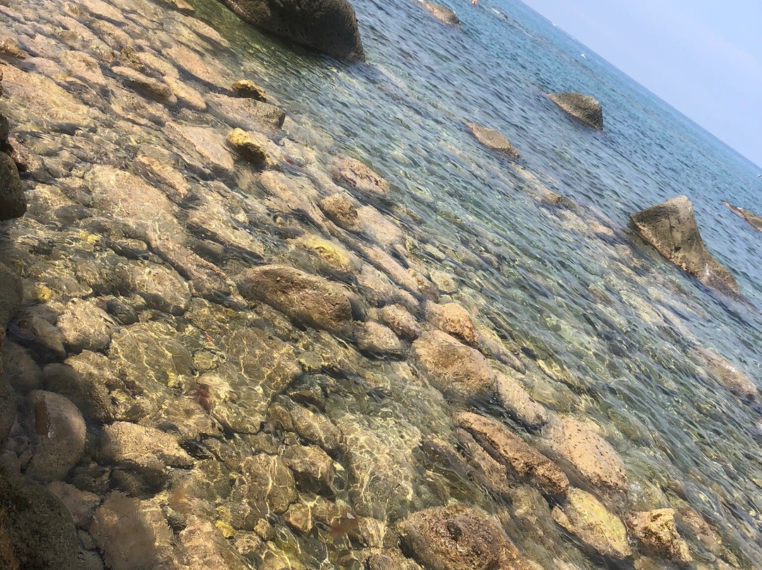 Spiaggia di San Francesco景点图片