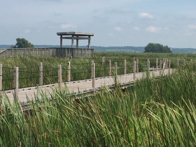 Horicon Marsh-Mayville必去景点