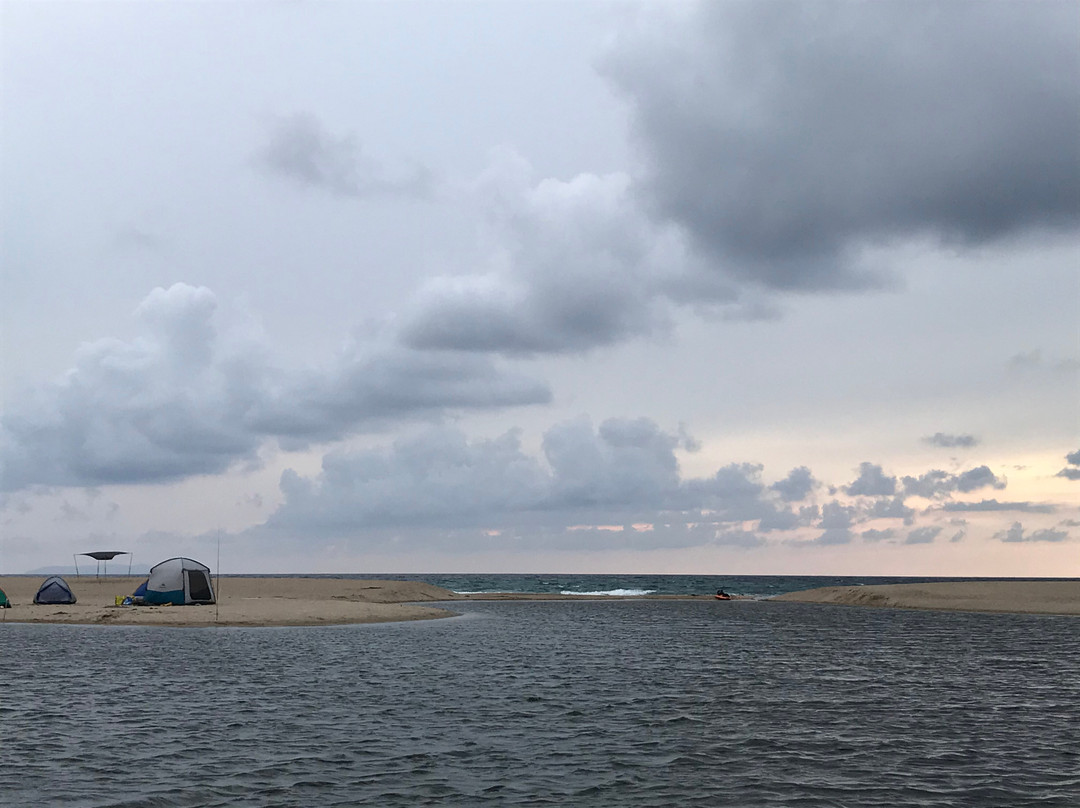 L'Alta Bhanda Birdwatching  day Tour-Valledoria必去景点