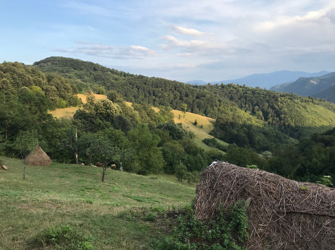 彻尔文别墅酒店主图