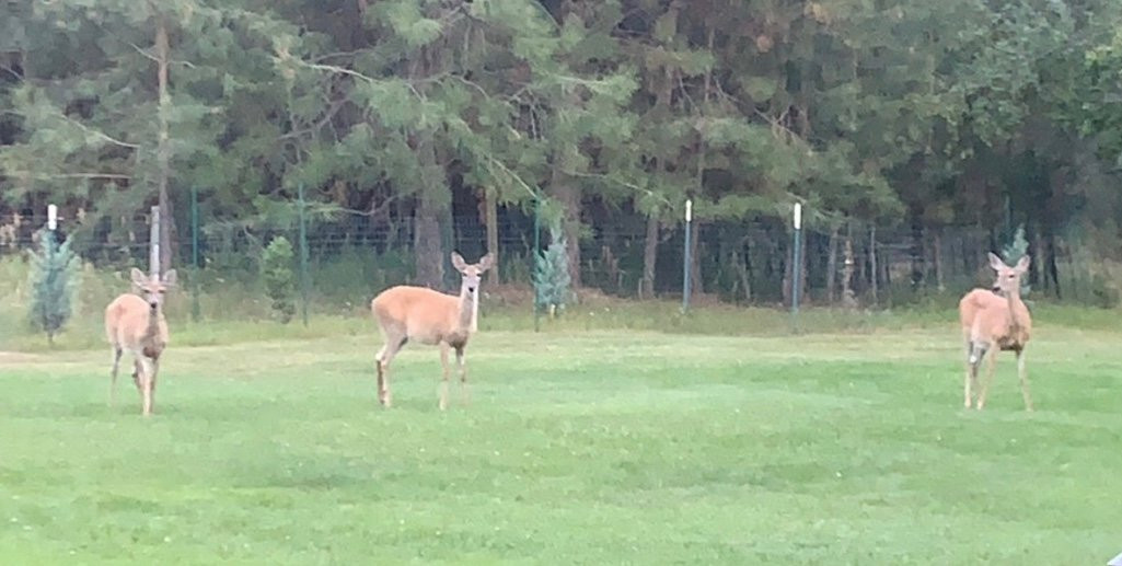 Time After Time Bed and Breakfast主图