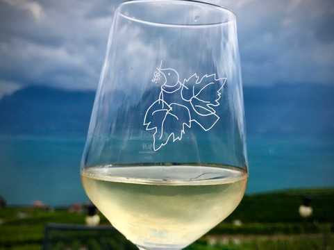 WINEMAX - Swiss Wine Exclusive Tour-洛桑必去景点