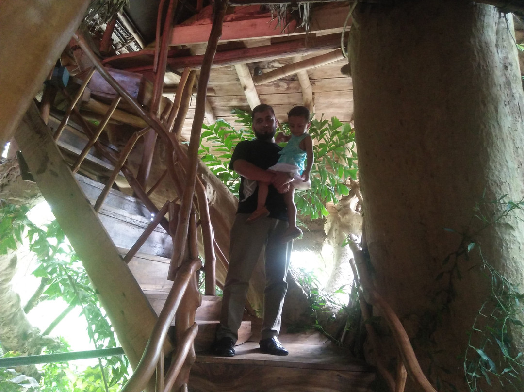 Kumbuk Tree House主图