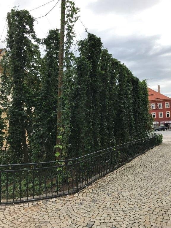 Chmelnička-Zatec必去景点