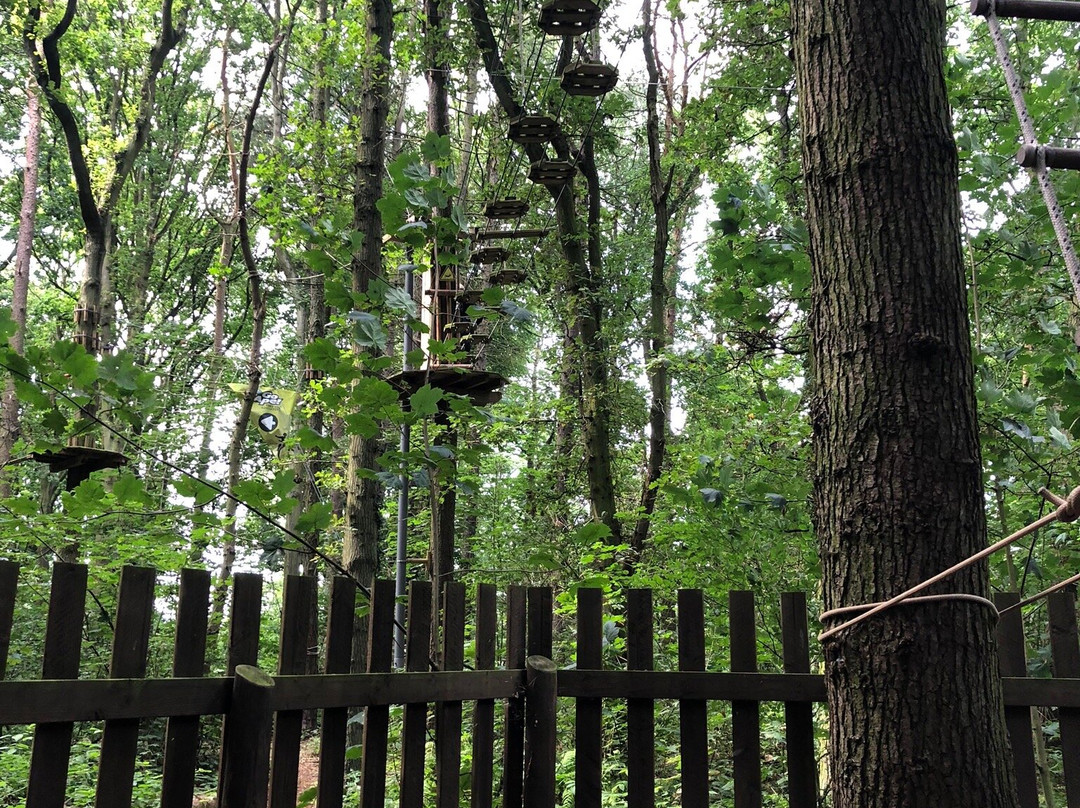 Go Ape Normanby Hall景点图片