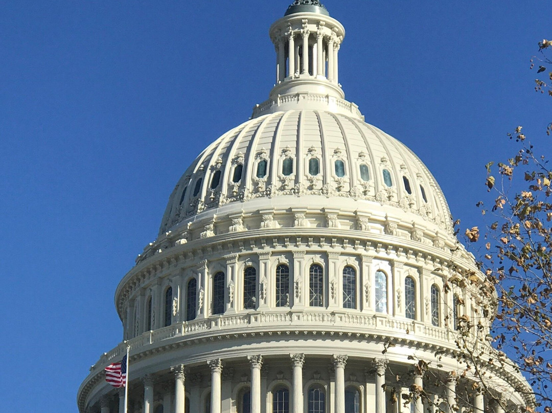 Washington DC Tour Guide-华盛顿特区必去景点