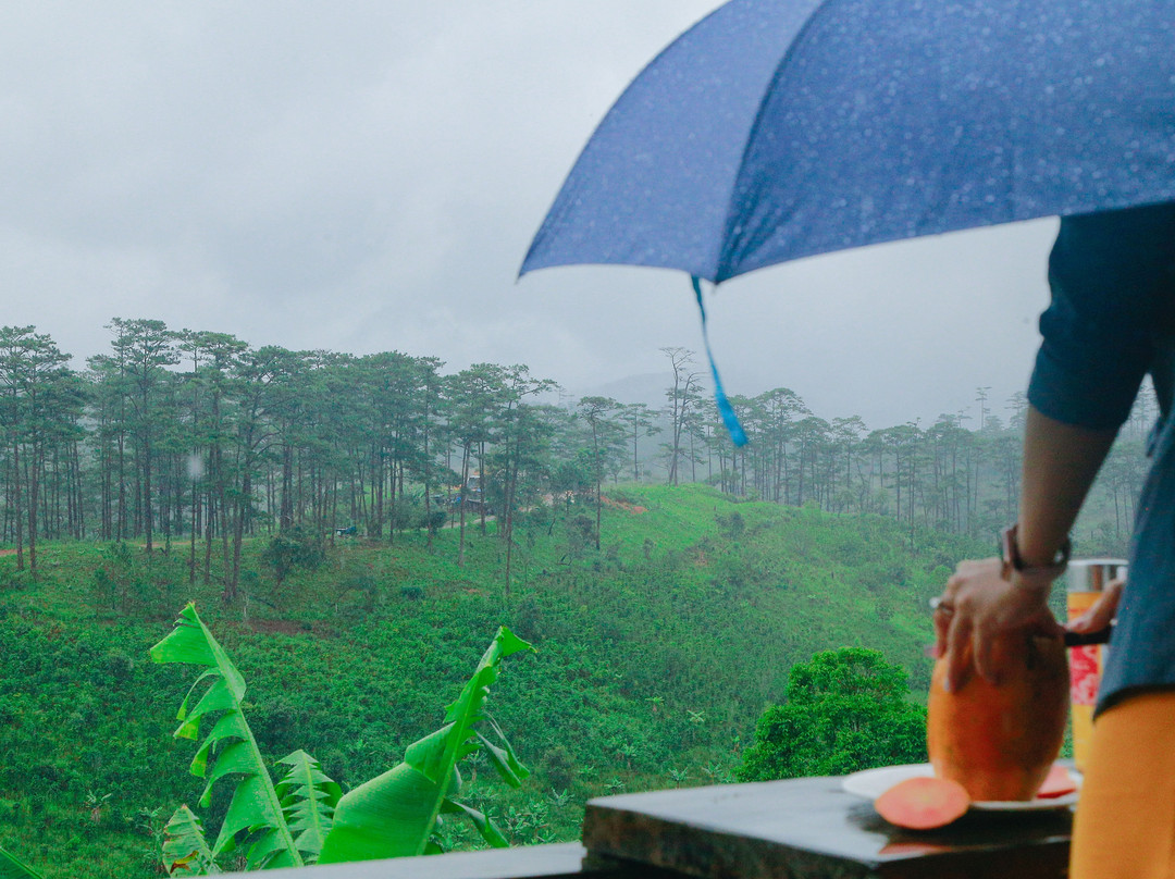 Chappi Mountains Homestay Bungalows & Coffee Resting Station主图