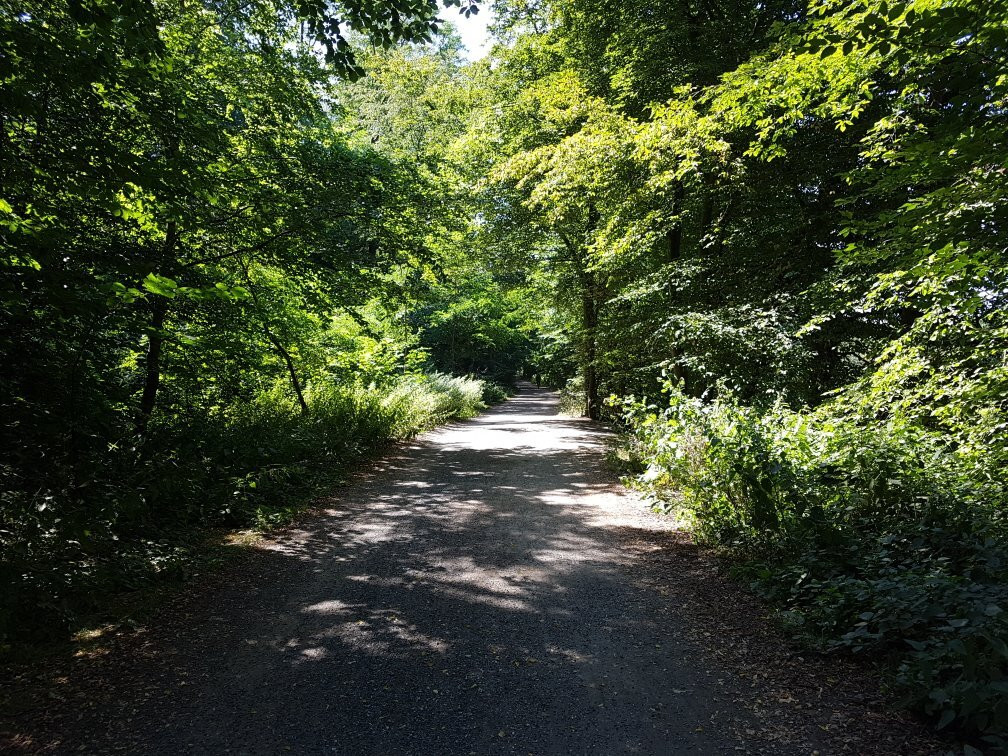 Neanderland Steig-Mettmann必去景点