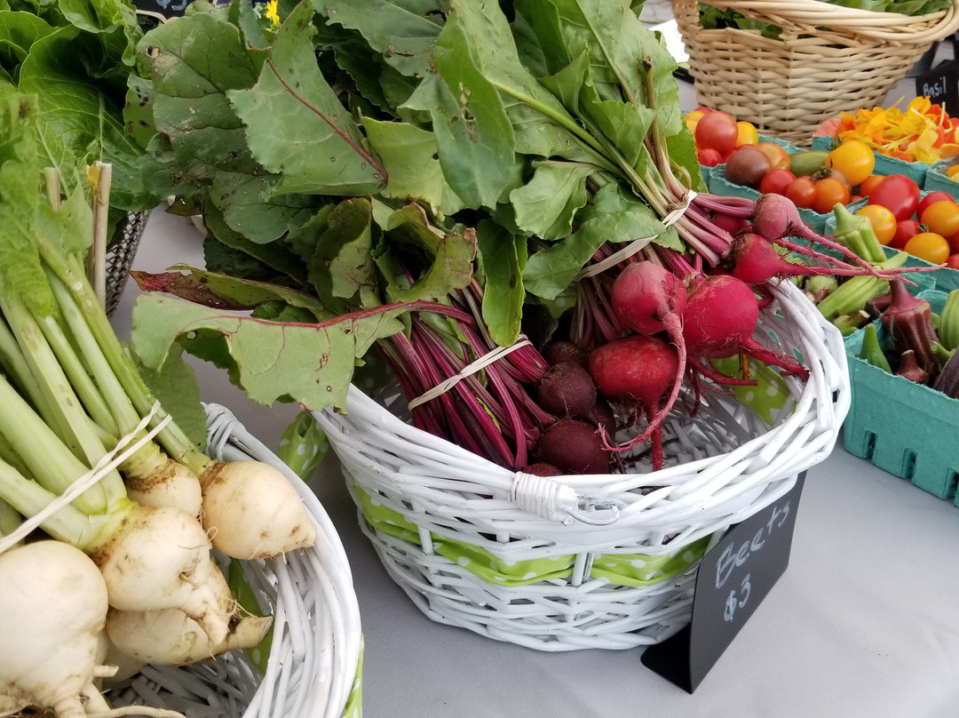 Hamburg Farmers' Market景点图片