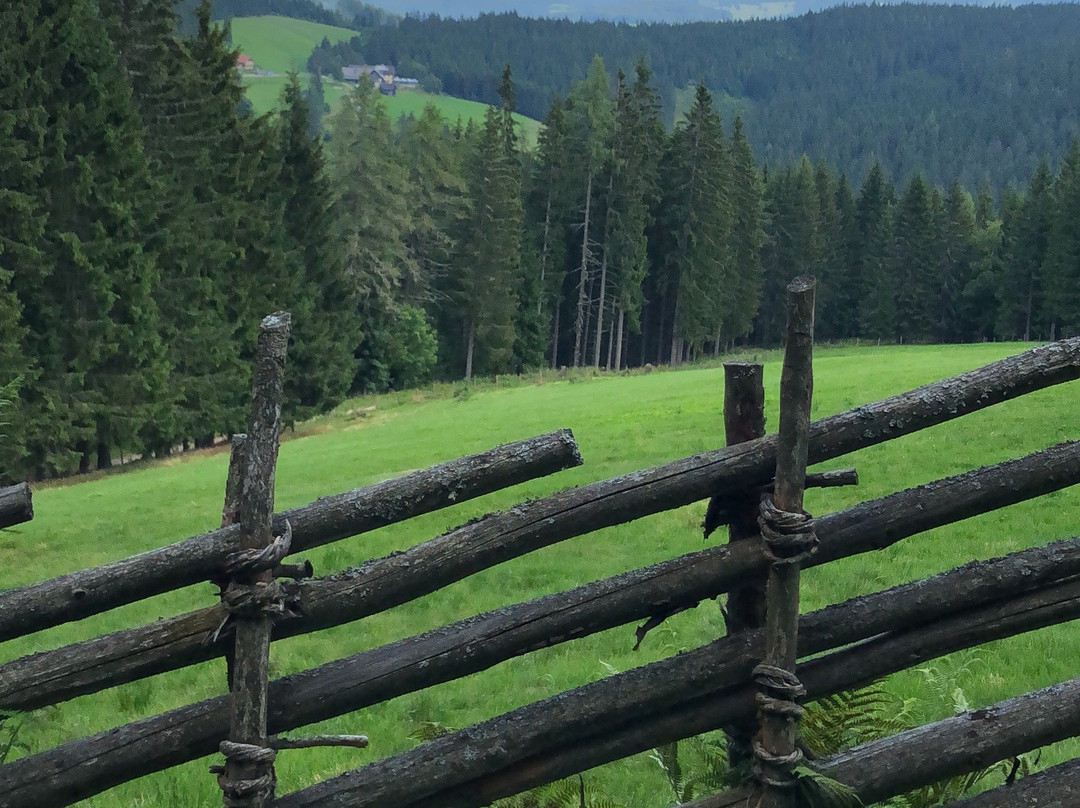 Gasthof Z Waldheimat Hannes Rothwangl