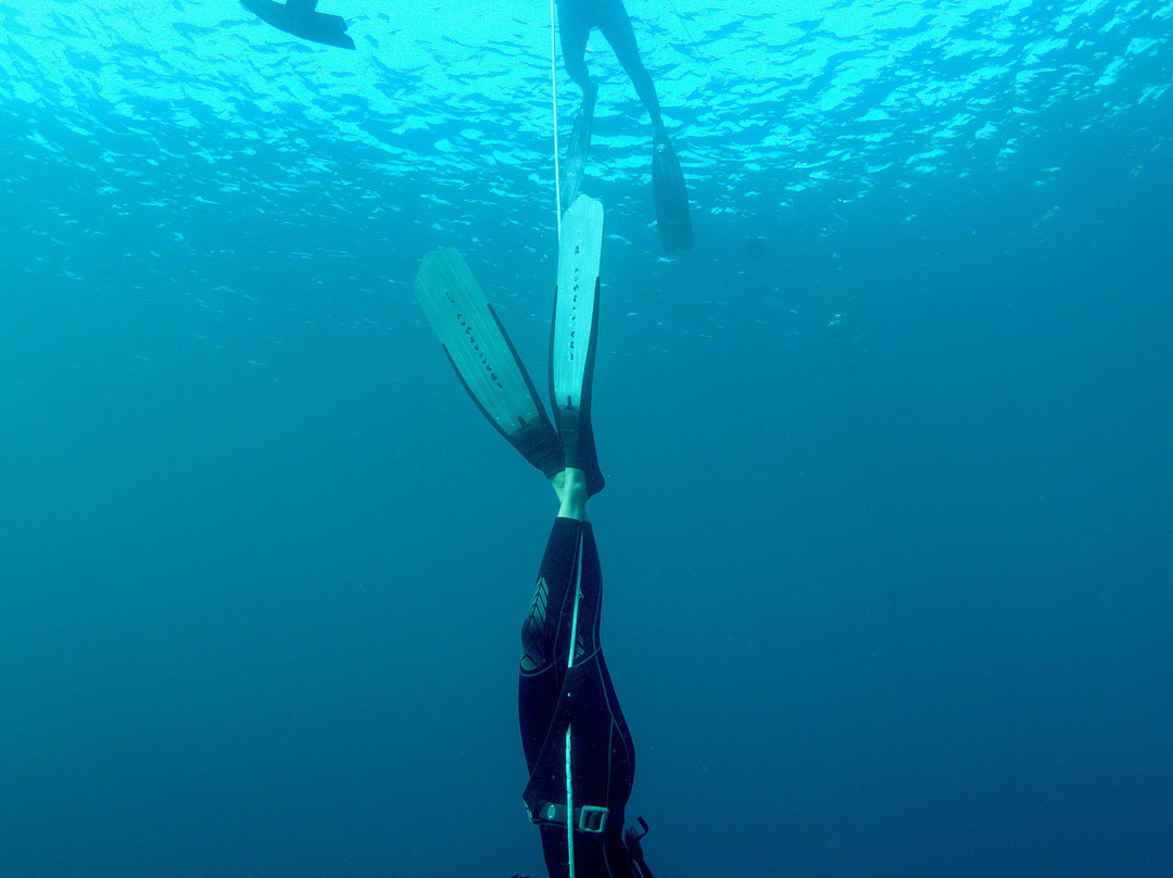 Fathom Freedive Bali-Bunutan必去景点