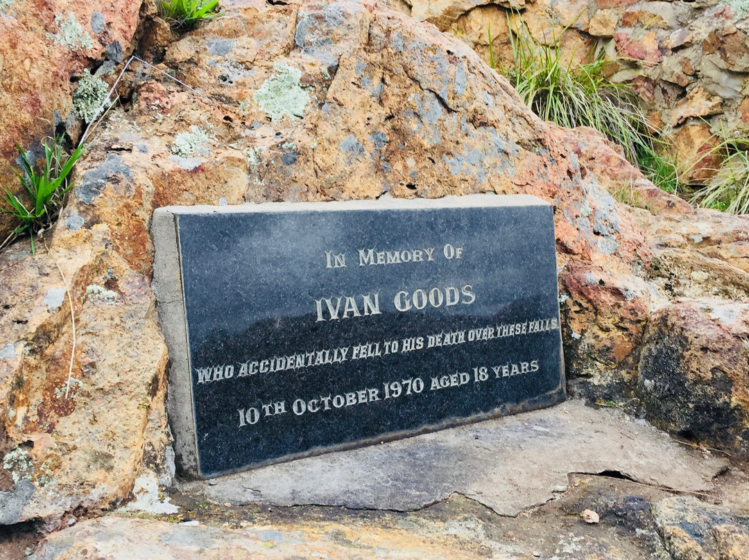 Nigretta Falls-哈密尔顿必去景点