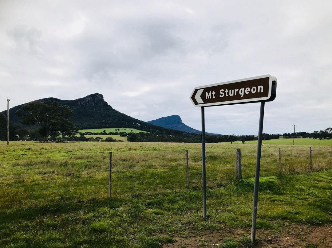 Mt Sturgeon-Dunkeld必去景点