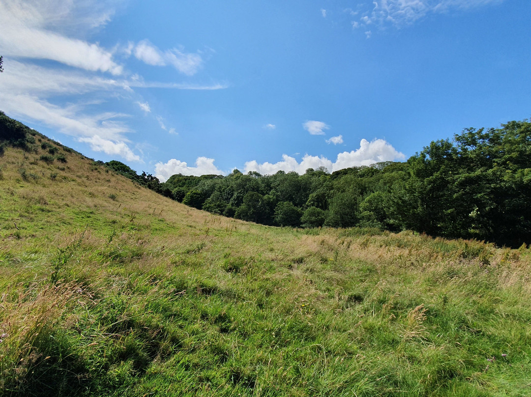 The Hayburn Wyke Inn主图