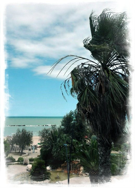 Hotel Girasole frontemare-酒店景观
